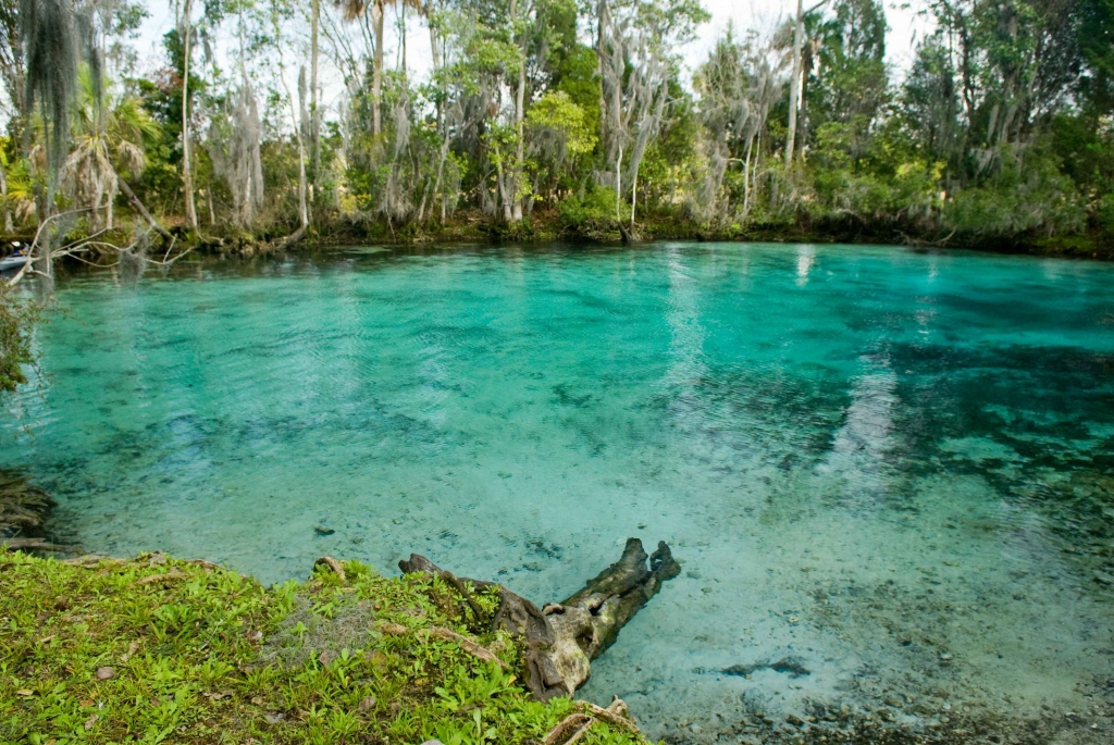 Three Sisters Springs